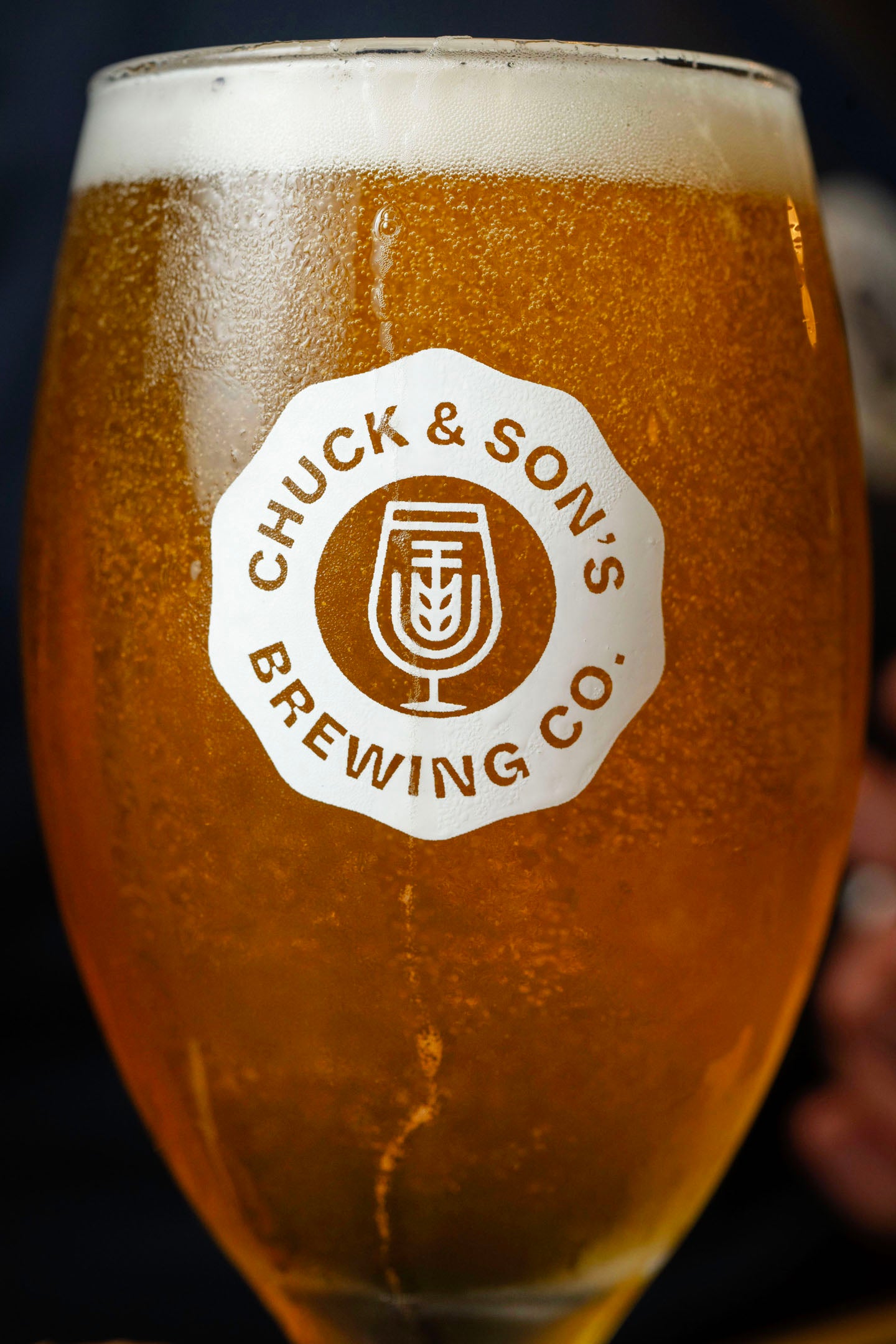 chuck and son's brewing co.