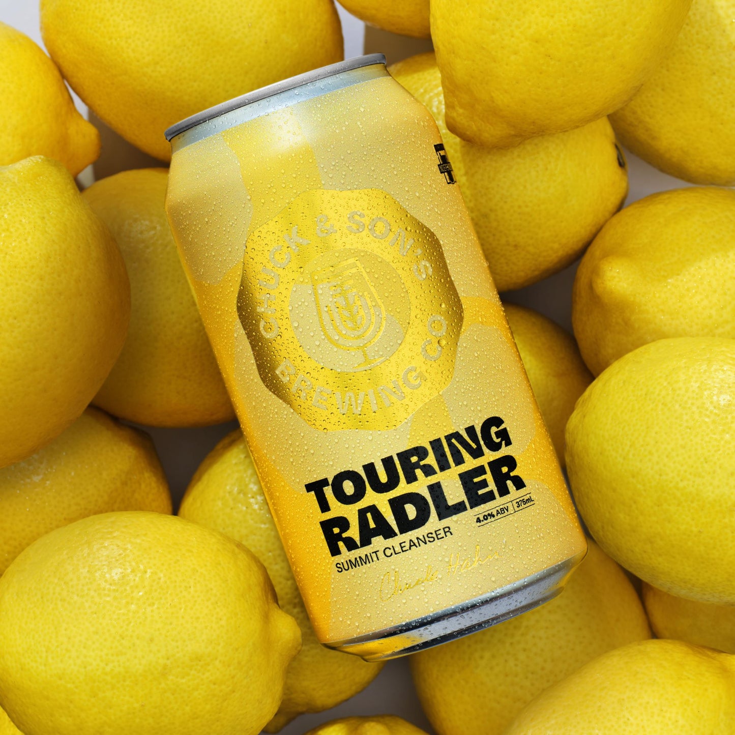 TOURING RADLER 375ML CANS (CASE OF 16)