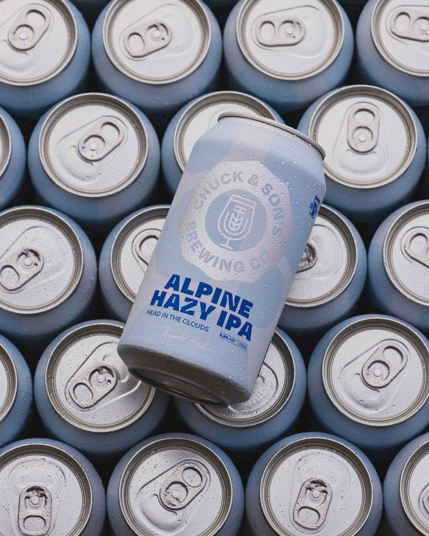MIXED CASE - HOP LOVER'S COLLECTION (CASE OF 16)