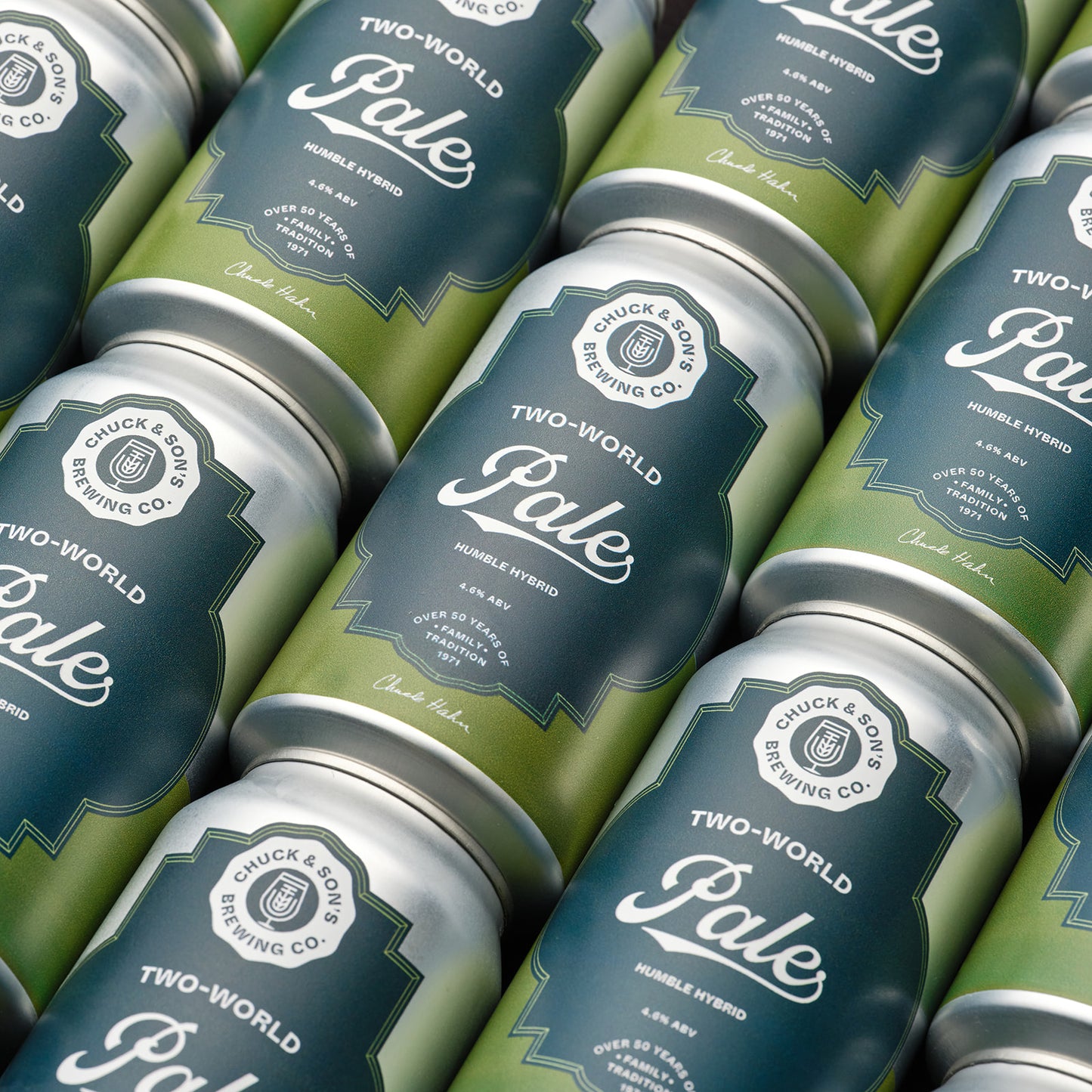 TWO-WORLD PALE 375ML CANS (CASE OF 16)