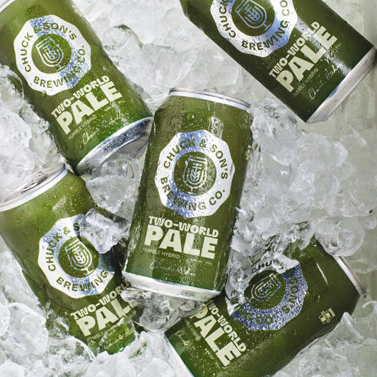 TWO-WORLD PALE 375ML CANS (CASE OF 16)